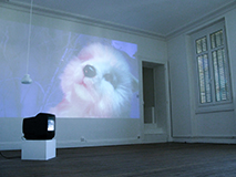 Exposition - Mirage Intermittent / Patrice Paillard, Galerie Articule, Le Mans, vidéoprojection, écran, dispositif sonore, art,